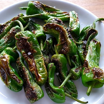 a plate with fried pimientos de padrón with sea salt.